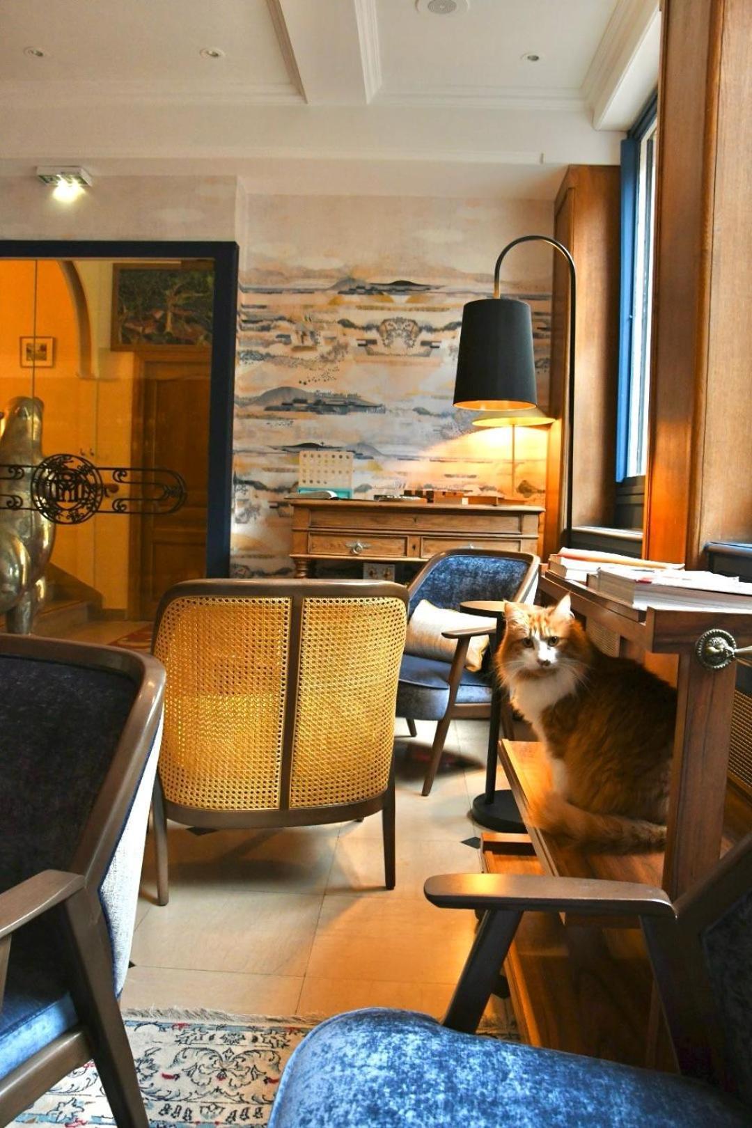 Le Moulin Des Ruats Hotel Авалон Екстериор снимка